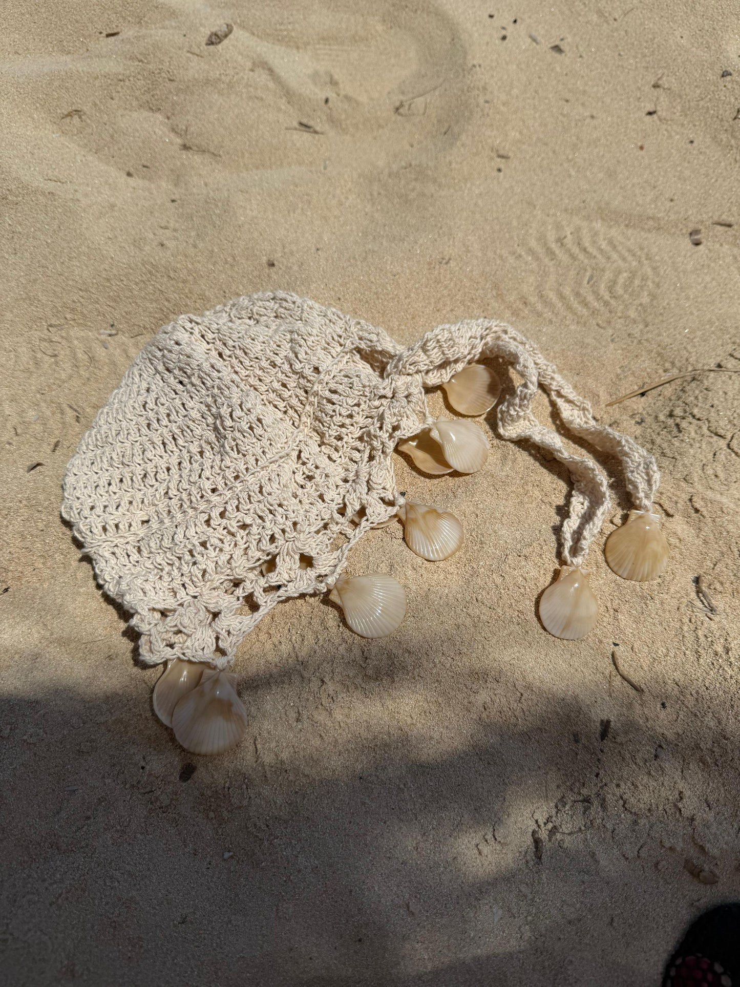 Shell Chakra